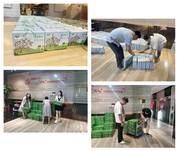 1689144238822411.png image.png